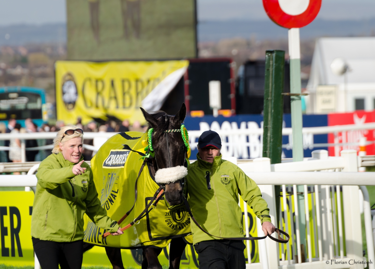 Grand National winner Many Clouds